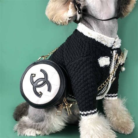 chanel dog accessories|purrfect chanel dog.